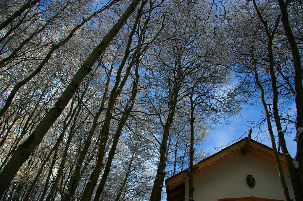 Familia Piatti B&B - Suites Ushuaia Dış mekan fotoğraf