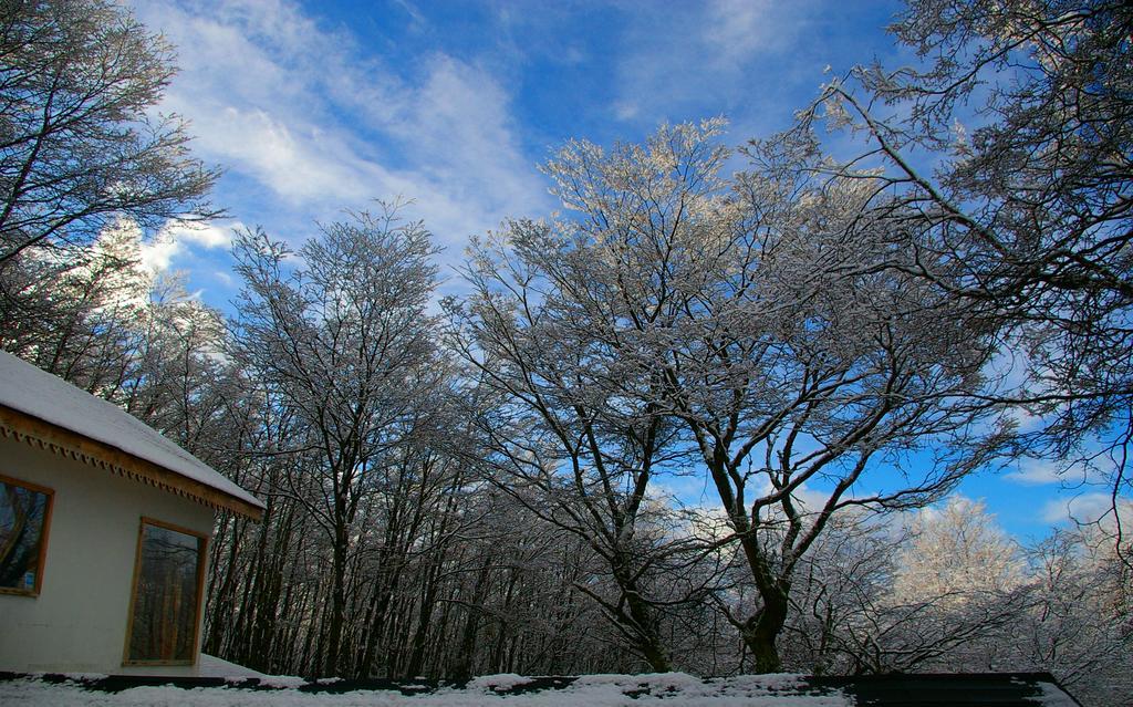Familia Piatti B&B - Suites Ushuaia Dış mekan fotoğraf